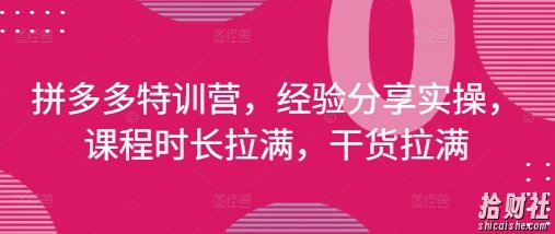 拼多多特训营，经验分享实操，课程时长拉满，干货拉满(更新25年4月)