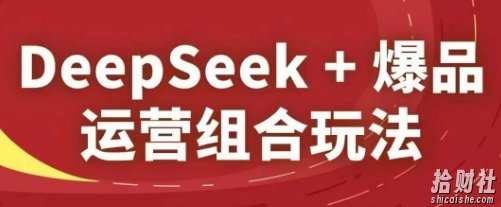 DeepSeek+爆品运营组合玩法,2025淘系精品课