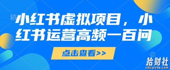小红书虚拟项目,小红书运营高频一百问【文档】