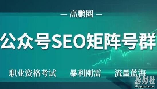 高鹏圈公众号SEO矩阵号群，实操20天纯收益25000+，普通人都能做