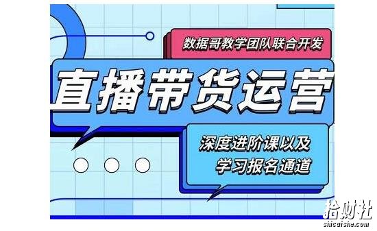 数据哥·新直播带货运营课(含电子资料):破冷启动、818算法破解、高效率带货等