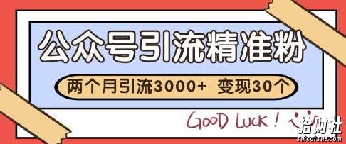 公众号精准粉引流玩法,2个月3000+精准粉,变现30个W【揭秘】