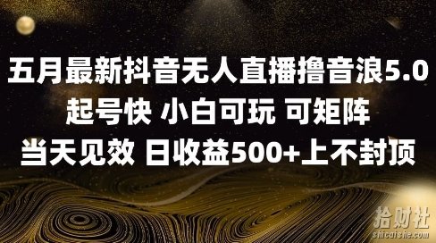 2025五月最新无人直播撸音浪单日产出5张+实操教程【揭秘】