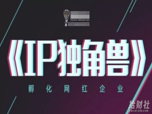 IP独角兽,孵化网红企业,ip教程