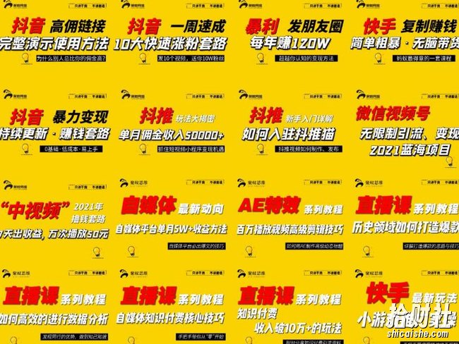 2021聚蚁思维高级合伙人vip会员课程合集,帮助上万人通过短视频变现益利