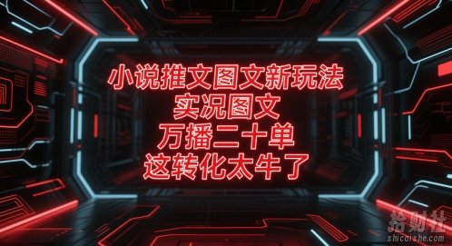 小说推文图文新玩法,实况图文,万播二十单,这转化太牛了!