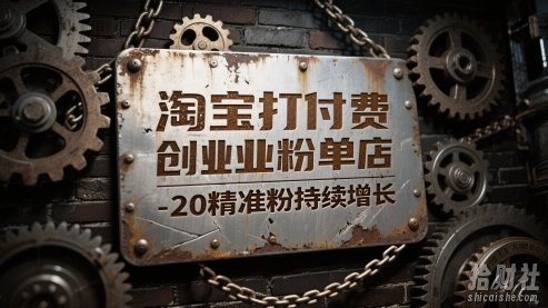 淘宝打付费创业粉单店每天稳定10-20精准粉持续增长【揭秘】