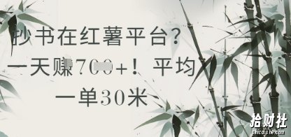 抄书在小红薯平台？平均一单30米，一天收益几张！