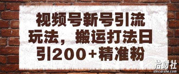 视频号新号引流玩法，搬运打法日引200+精准粉，可矩阵放大【揭秘】