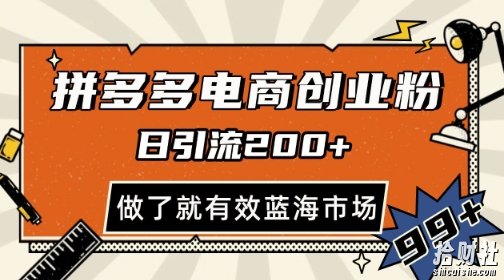 拼多多引流电商创业粉，日引200+，可矩阵放大，做了就有效【揭秘】