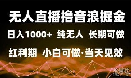 无人直播撸音浪掘金，日入1k+，纯无人红利期，小白可做，当天见效【揭秘】