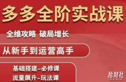拼多多全阶实战课程，全维攻略，破局增长，从新手到运营高手