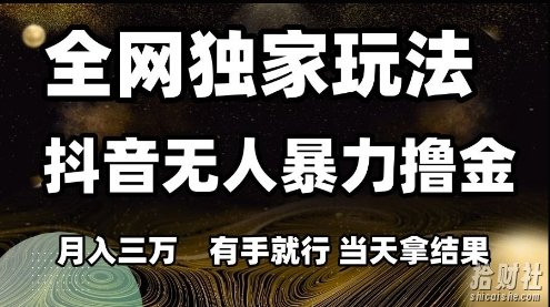 全网独家玩法抖音无人暴力撸金，月入3W，有手就行，当天拿结果【揭秘】