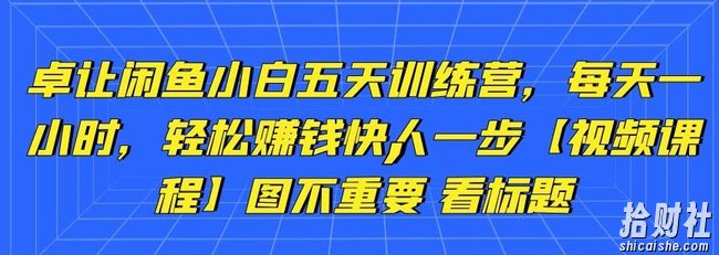 卓让闲鱼小白五天训练营，每天一小时，轻松賺米快人一步【视频课程】