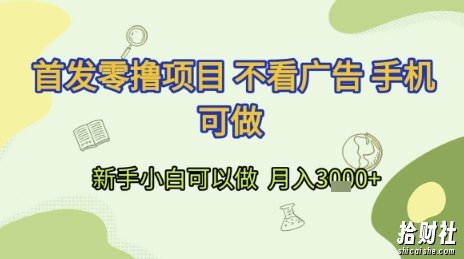 首发零撸项目 不看广告 手机可做 新手小白可以做 月入3k+【揭秘】