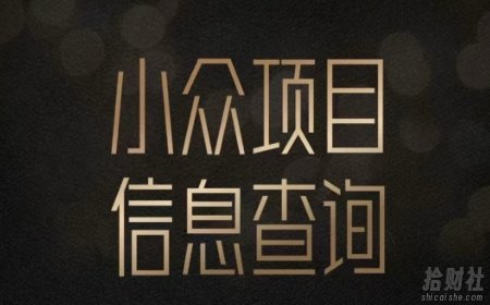 小众蓝海项目情感查询，女粉暴力掘金，轻松日入500+【揭秘】