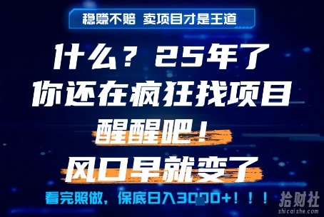 什么?25年你还在疯狂找项目做,醒醒吧,看完这些你全都懂了!【揭秘】