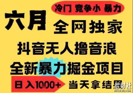 25年6月高爆抖音无人直播最新撸音浪掘金项目,小白可做,无脑日入1k+,门槛低可批量矩阵【揭秘】