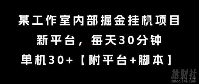 某工作室内部掘金挂G项目，新平台，每天30分钟，单机30+【揭秘】