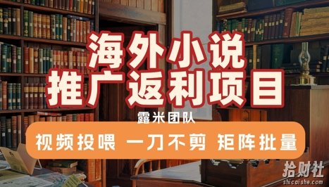 海外小说推广返利项目,视频投喂, 一刀不剪,矩阵批量