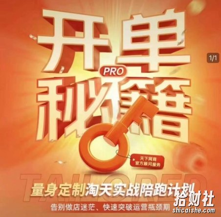 淘宝开单秘籍PRO，量身定制淘天实战陪跑计划，告别做店迷茫、快速突破运营瓶颈期（更新6月）