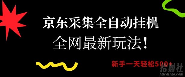 京东采集全自动挂G项目，全网最新玩法新手一天轻松5张【揭秘】