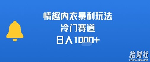 情趣内衣暴利玩法，冷门赛道，日入1k+