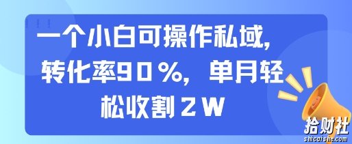 一个小白可操作私域，转化率90%，单月轻松收割2W