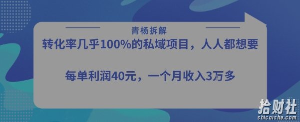 转化率最高的私域项目，每单利润40-50米，月入过1w