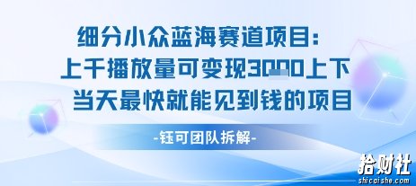 小众蓝海赛道项目：当天变现1k+适合新手操作 +适合长期玩