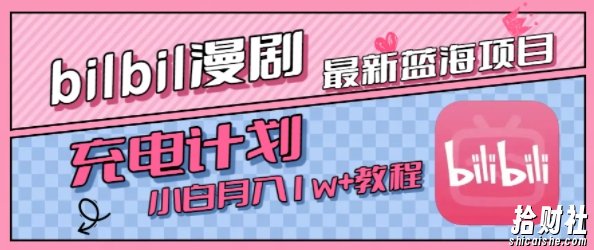 最新蓝海项目,B站充电计划,小白也能月入1w+