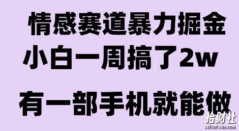 情感暴力掘金项目,新人操作一周挣了2W,长期稳定小白可做【揭秘】