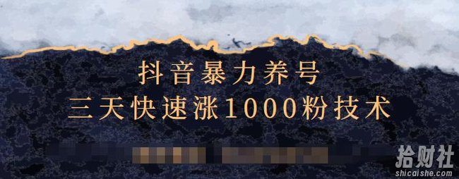 抖音暴力养号，三天快速涨1000粉技术【视频课程】