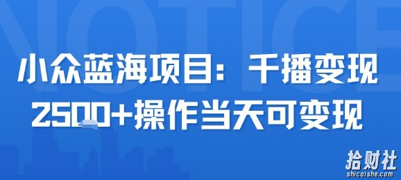 小众蓝海项目，千播变现2.5k+操作当天可变现