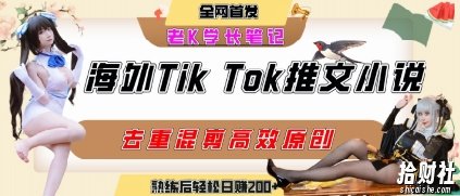 海外tiktok小说推文暴力项目,高停留率,高转化率,上手后一天搞顿饭钱不是问题