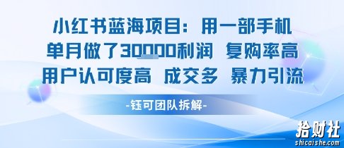 小红书蓝海项目，一部手机单月做了3W利润，小白也能月入过1W用户认可度高成交多