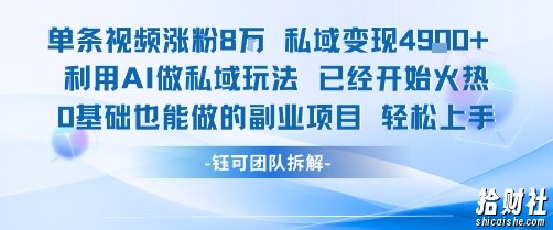单条视频私域变现4.9k+利用AI做私域玩法 已经开始火热0基础也能做的副业项目轻松上手