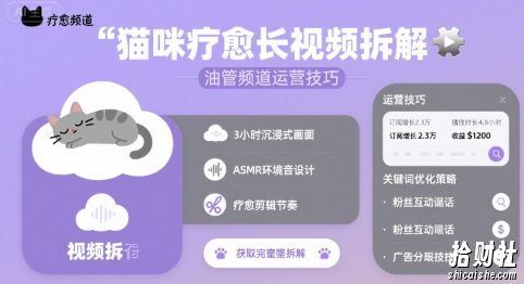 猫咪疗愈长视频拆解 &油管频道运营技巧