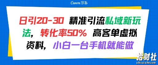 日引 20-30 精准引流私域新玩法，转化率50% 高客单虚拟资料，小白一台手机就能做