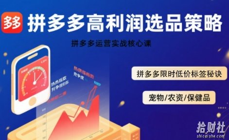 拼多多选品暴利技术实战课,拼多多高利润选品策略,拼多多限时低价标签秘诀
