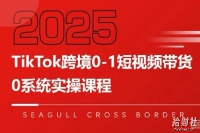 TikTok跨境0-1短视频带货,系统拆解TikTok跨境带货全链路,实现跨境可持续盈利