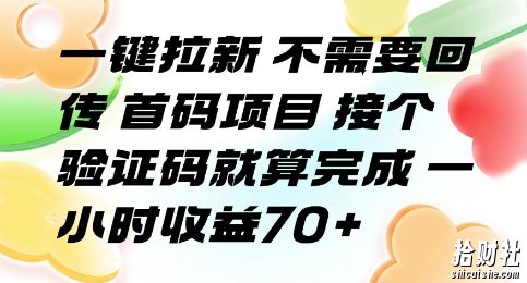一键拉新 不需要回传 首码项目 接个验证码就算完成 一小时收益70+【揭秘】