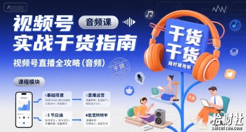 视频号实战干货指南,视频号直播全攻略(音频)