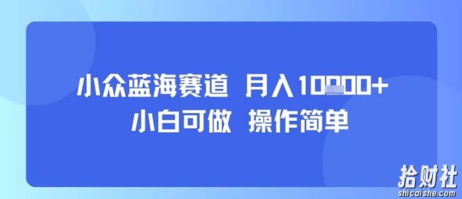 小众蓝海赛道，小白可做，操作简单，每天30分钟，月入1W+