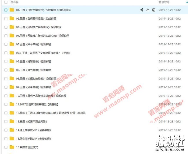 王通賺米全套教程(賺米项目/SEO/裂变引流/文案/营销)