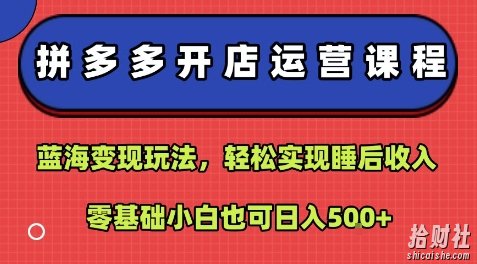 拼多多开店运营课程:蓝海变现玩法,轻松实现睡后收入,零基础小白也可日入5张
