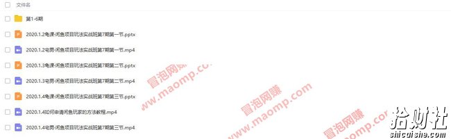 宅男《闲鱼转转项目玩法实战班 》线上第七期(附带1-6期)