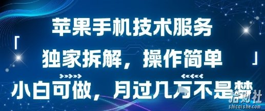 苹果手机技术服务,独家拆解,操作简单,小白可做,月过1W不是梦