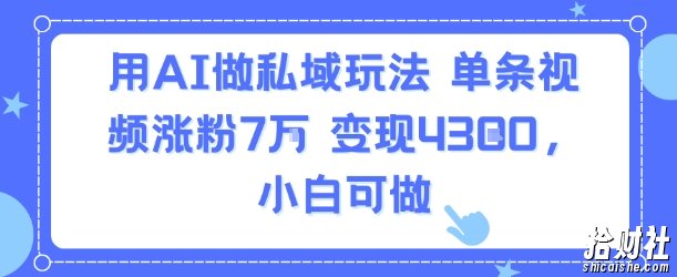 用AI做私域玩法，单条视频涨粉7W变现4.3k，小白可做