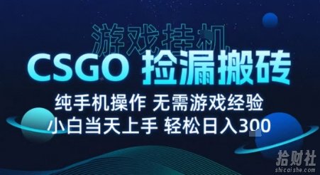 8月最新游戏搬砖，CSGO纯挂G，不需要玩游戏，实现真挂G，月入1W+【揭秘】